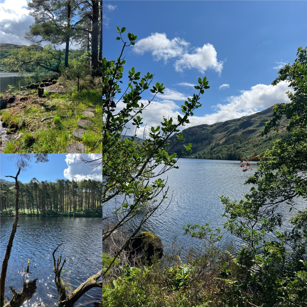 Wild Camping Wonders