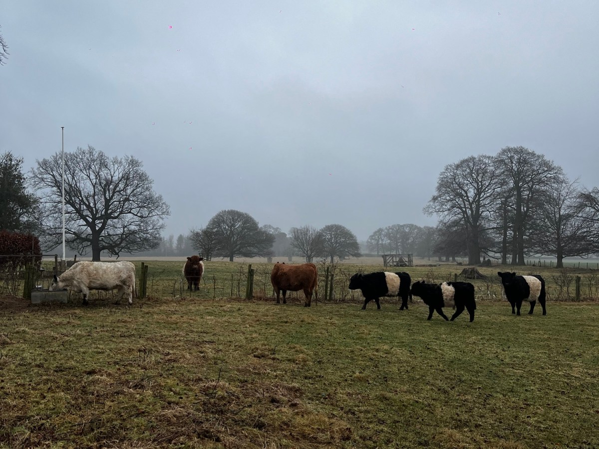 A Cosy Getaway: Highlights from Our Anniversary&nbsp;Trip