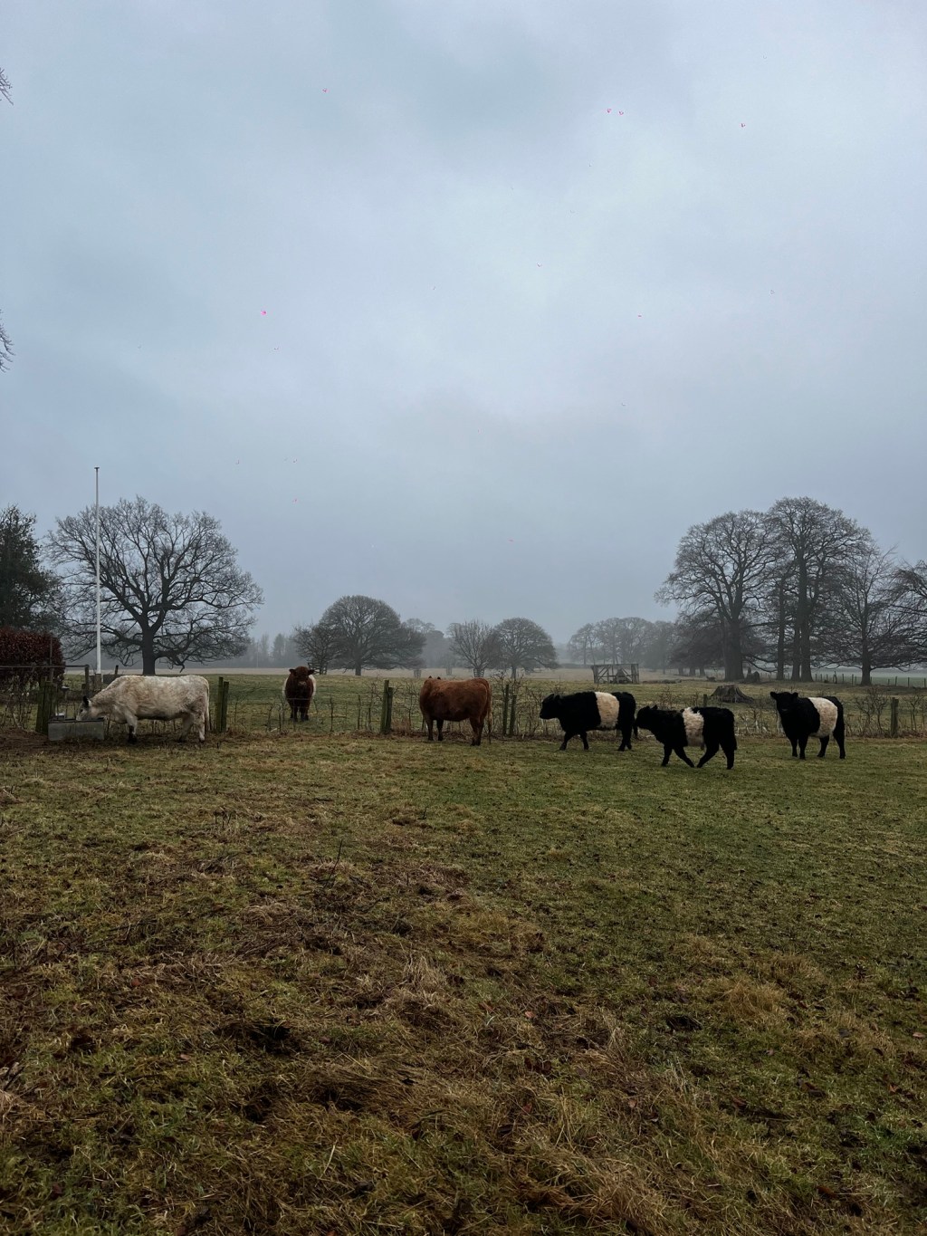 A Cosy Getaway: Highlights from Our Anniversary Trip